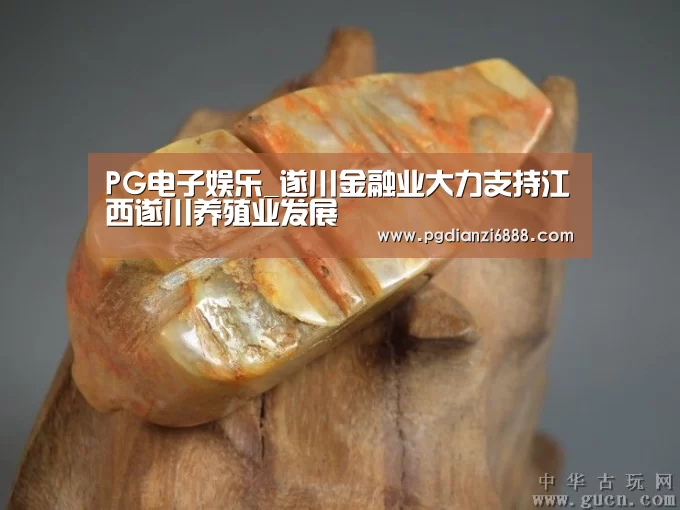 PG麻将在线玩