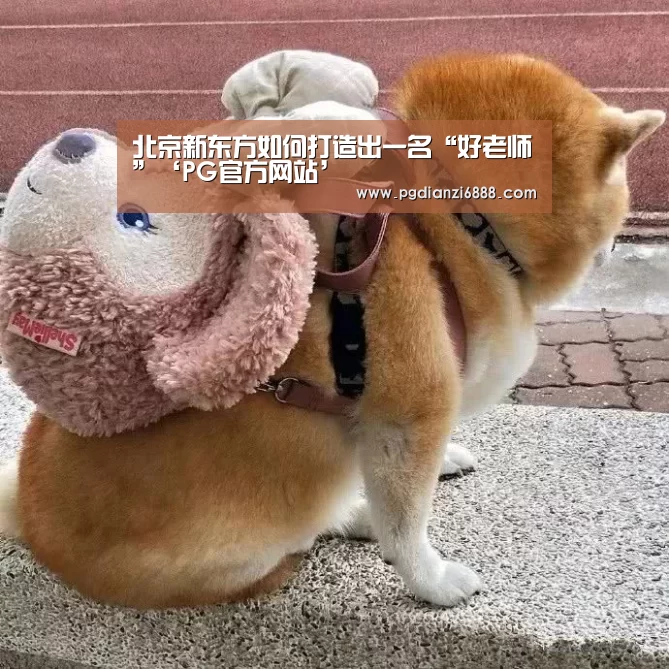 北京新东方如何打造出一名“好老师”‘PG官方网站’(图1) PG官方网站