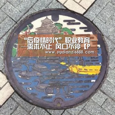 “后疫情时代”职业教育——需求不止 风口不停【PG麻将在线玩】(图3) PG官方网站