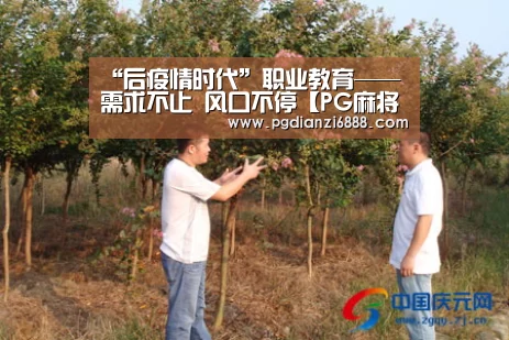“后疫情时代”职业教育——需求不止 风口不停【PG麻将在线玩】(图4) PG电子娱乐