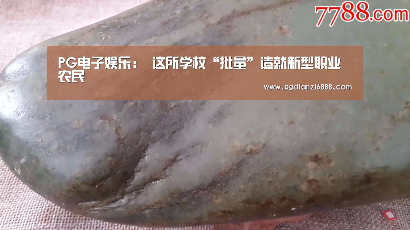 PG电子娱乐