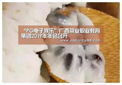 PG电子娱乐