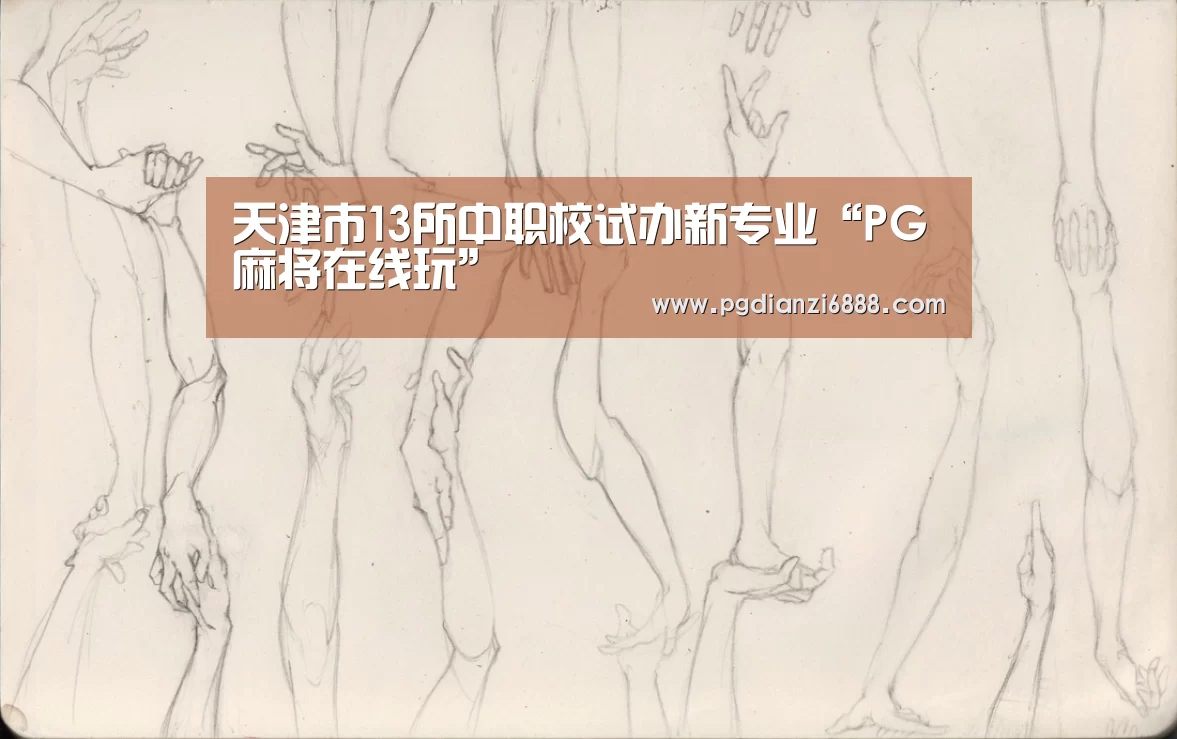 PG电子娱乐中心