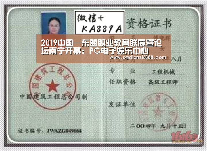 PG电子娱乐